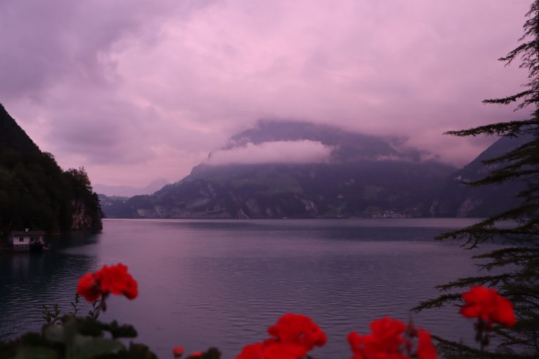 img 0625